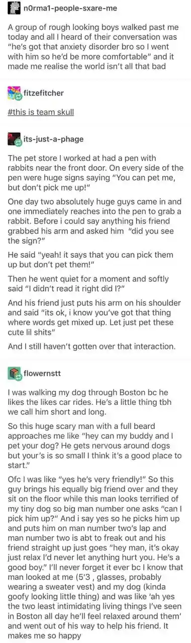 Stories I Adore Too Much Not to Share!