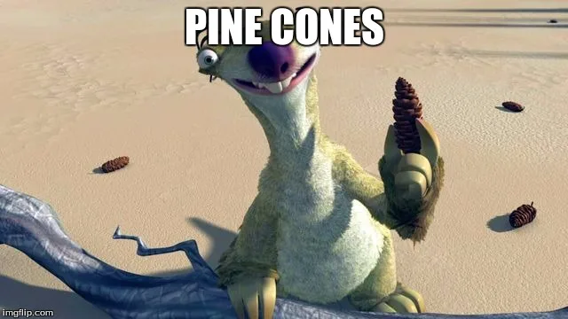 Forever Loyal to Team Pinecone!