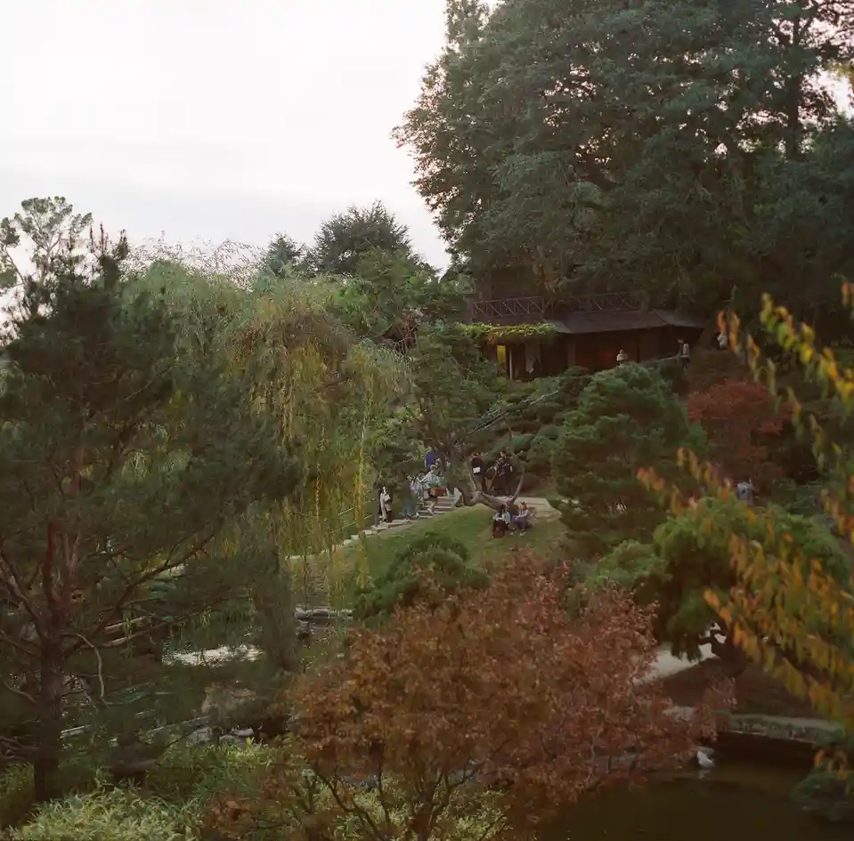 A serene, slightly hazy photo of a Japanese garden with winding paths, manicured shrubs, and people walking or sitting among…