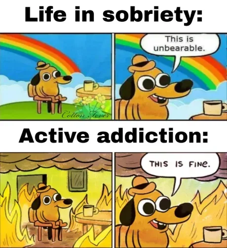 A four-panel comic strip featuring a cartoon dog. Top panels show the dog sitting calmly under a rainbow with a cup, labeled…