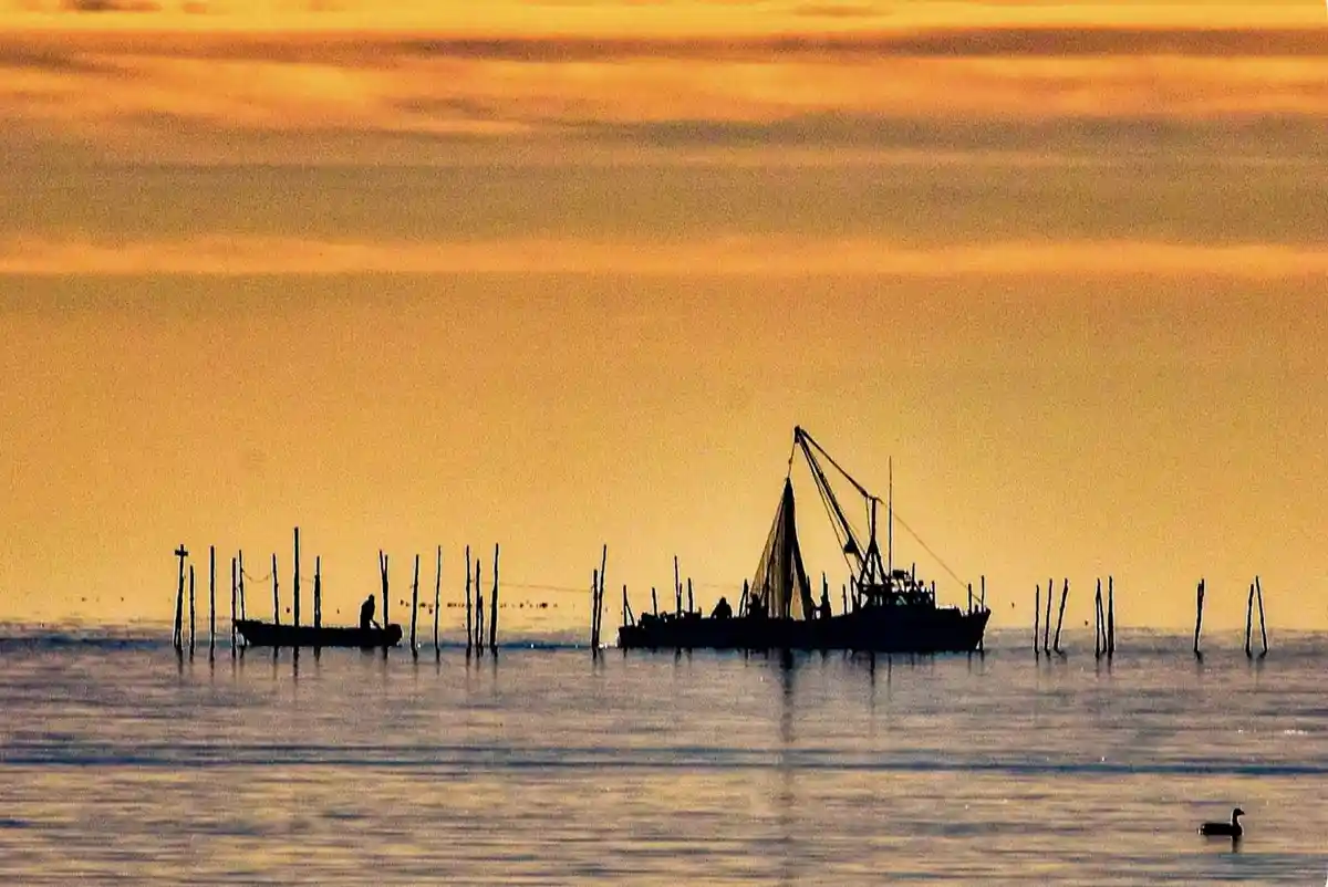 A serene sunset over water with silhouettes of two boats and a duck, overlaid with the text 'i'm not lazy, i'm just…