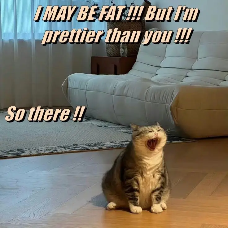 Never, ever call a 'floof' overweight!