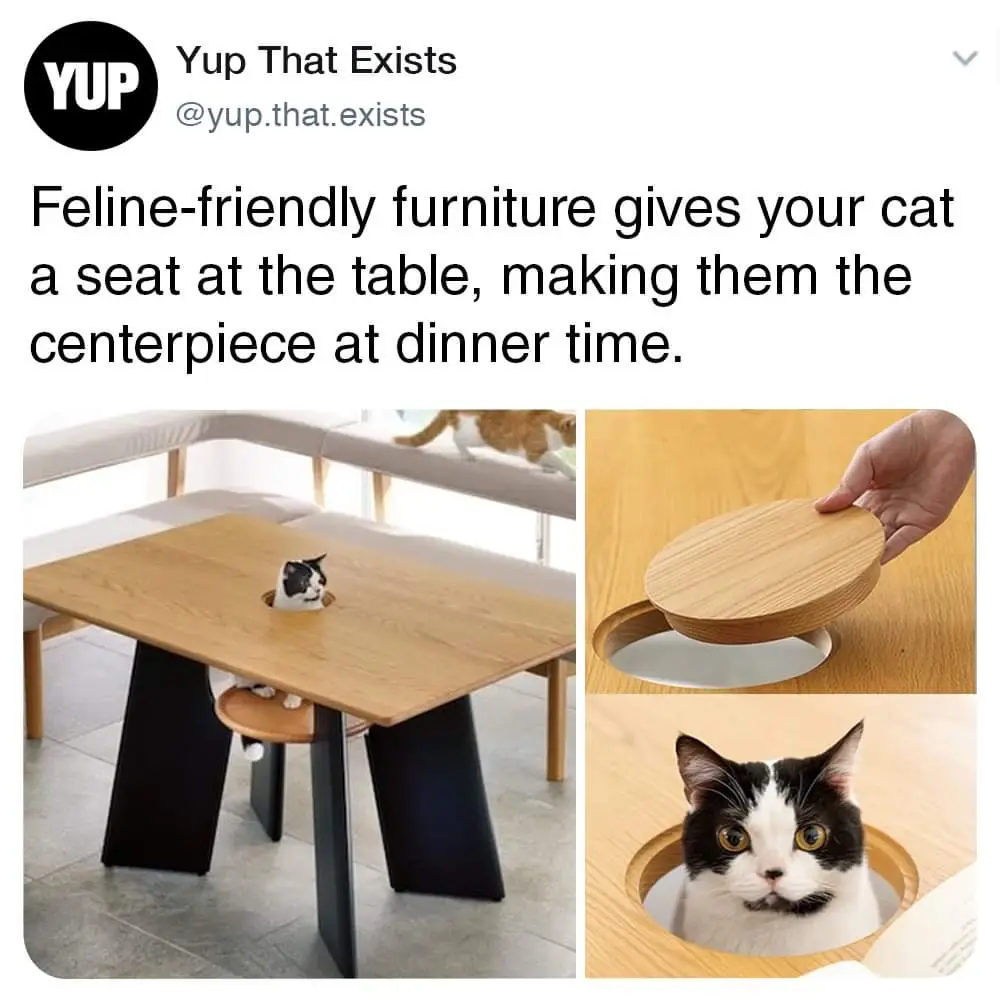 This design has 'cat-approved' written all over it