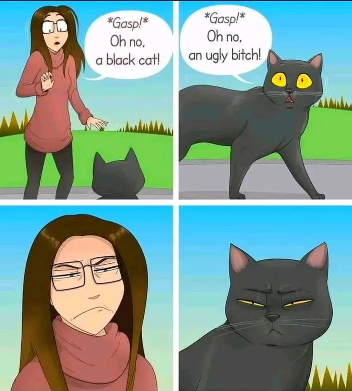 The Mysterious Charm of Black Cats