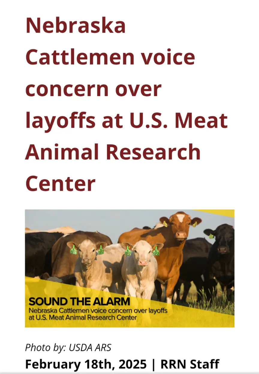 The image displays a news-style layout with large red text at the top reading 'Nebraska Cattlemen voice concern over layoffs…