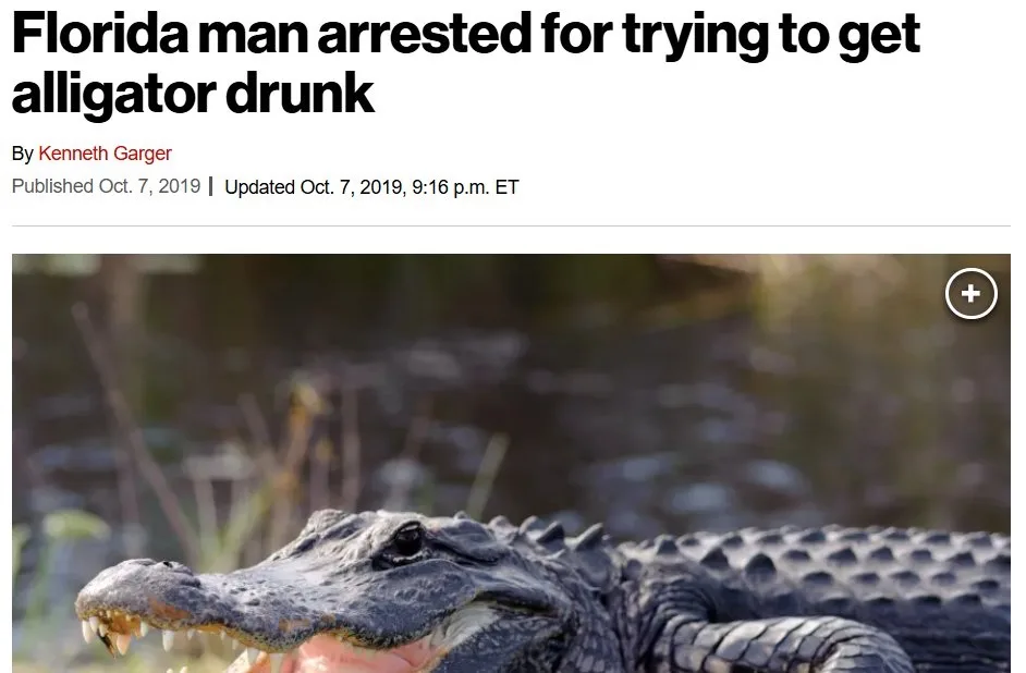 Florida: A Truly Fascinating Place