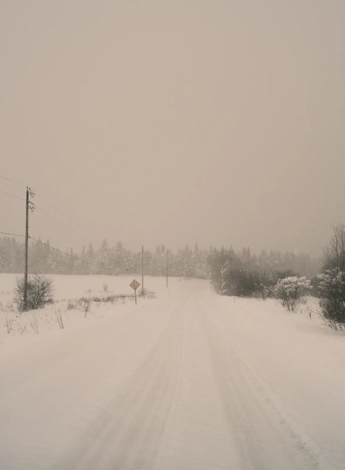 A snowy, desolate road stretches into a blizzard, flanked by snow-covered trees and utility poles, with a yellow…