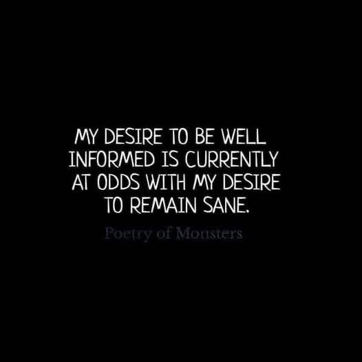 A black background with white text centered, reading 'MY DESIRE TO BE WELL INFORMED IS CURRENTLY AT ODDS WITH MY DESIRE TO…