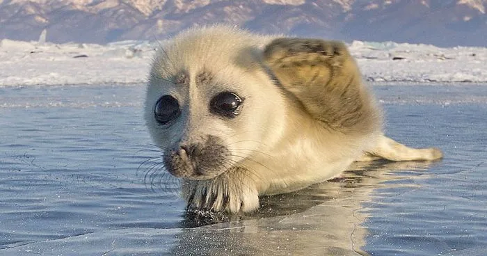 Just a casual greeting!