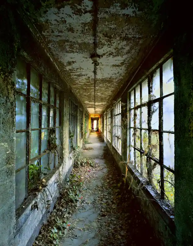 A long, abandoned hallway with peeling paint, broken windows overgrown with vines, and fallen leaves on the floor, with the…