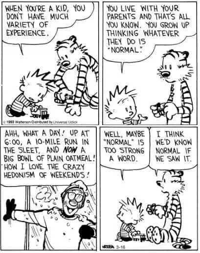 A four-panel Calvin and Hobbes comic strip where Calvin, as a child, describes his weekend as a '10-mile run in the sleet'…