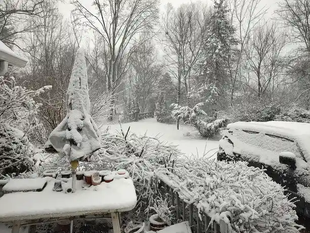 Snow Day Adventures - February 16, 2025