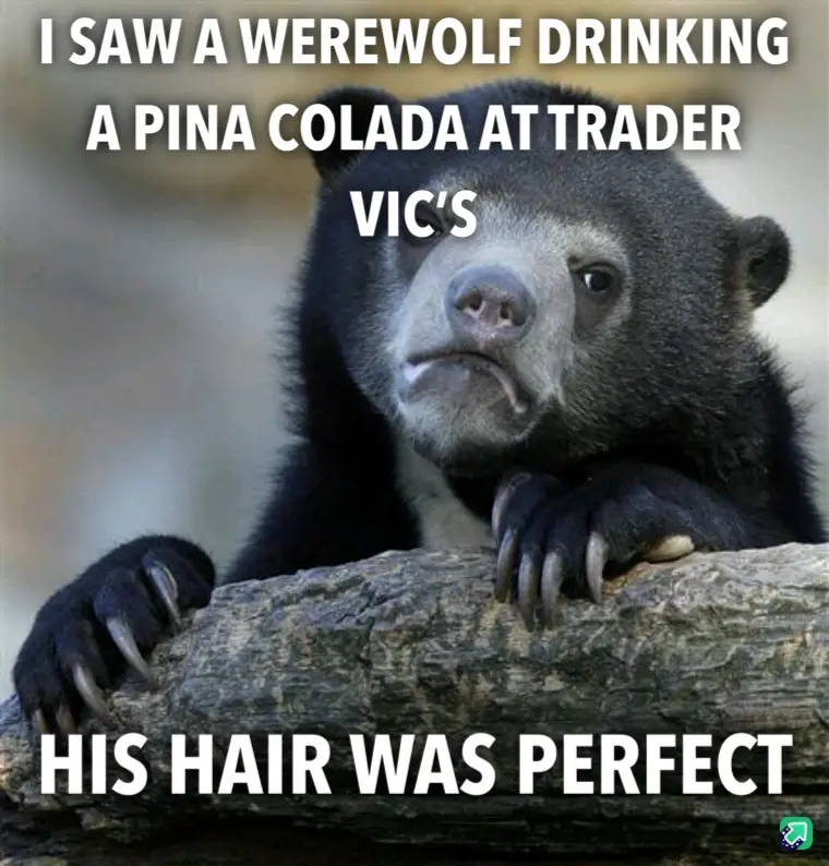 A black bear with a skeptical, unimpressed facial expression is leaning on a log. The overlaid text reads: 'I SAW A WEREWOLF…