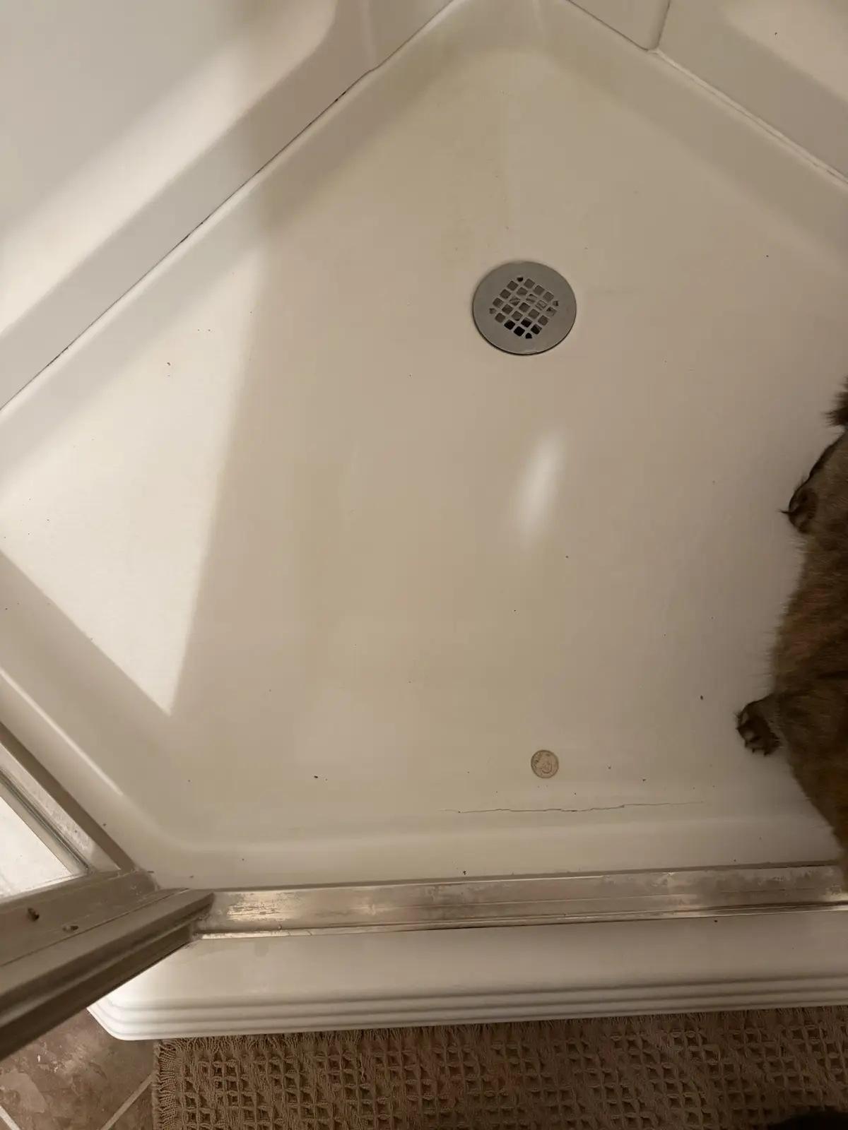 A close-up photo shows the bottom of a white shower stall with a metal drain in the center and a small coin nearby. On the…