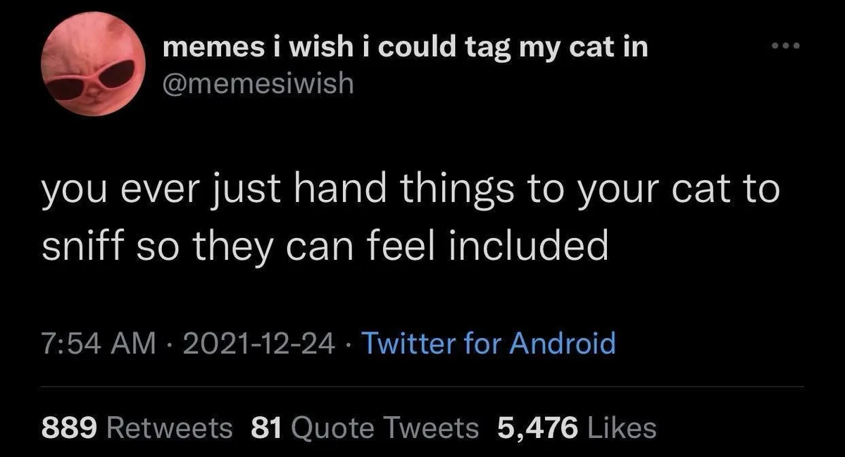 A screenshot of a Twitter post from the account 'memes i wish i could tag my cat in' (@memesiwish) with a profile picture of…