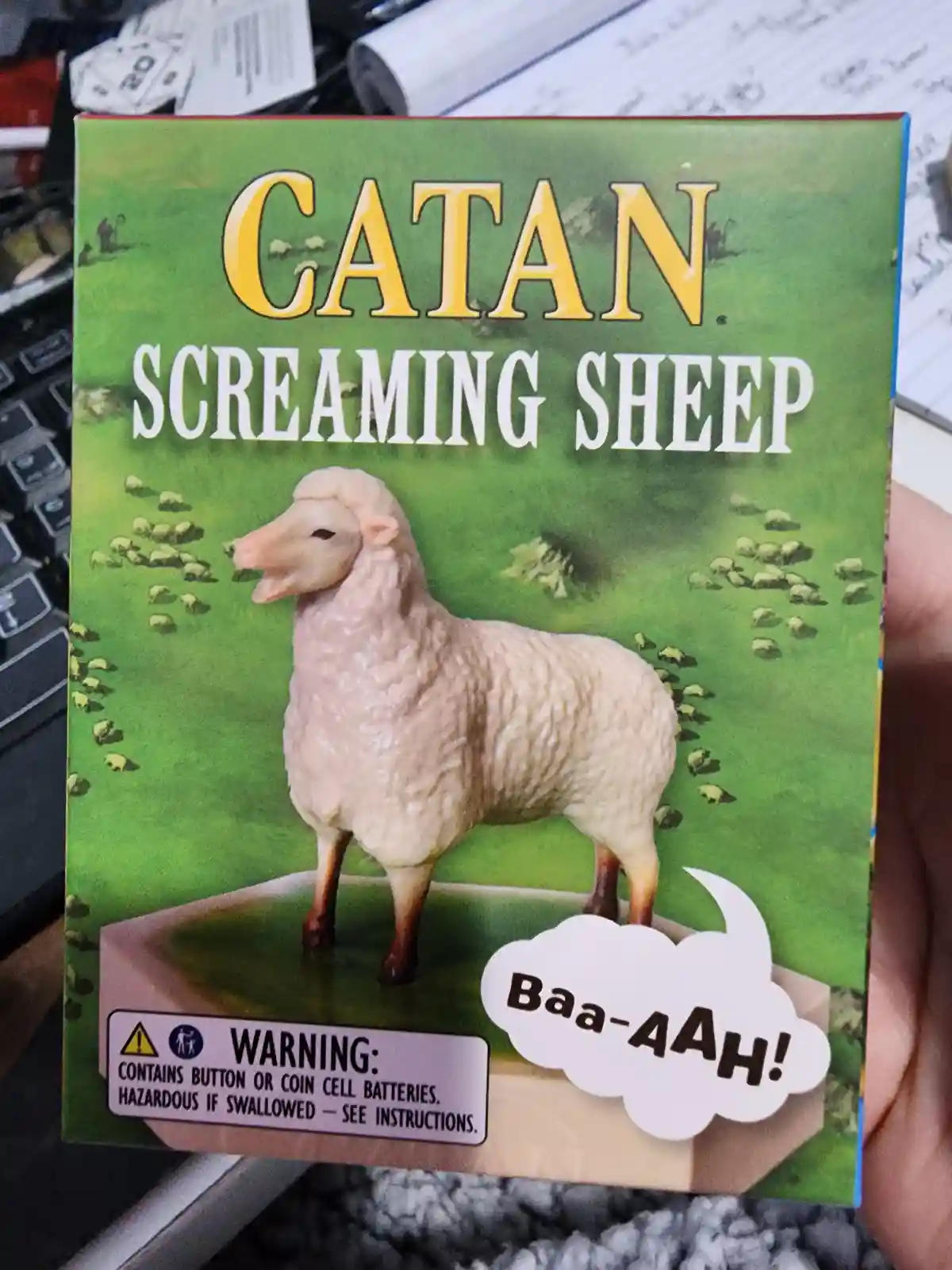 Just a Sheepish 'Baaaaah' Moment