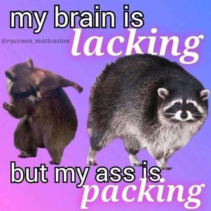 Two raccoons are shown against a purple gradient background. The raccoon on the left is hunched over with its arms raised…