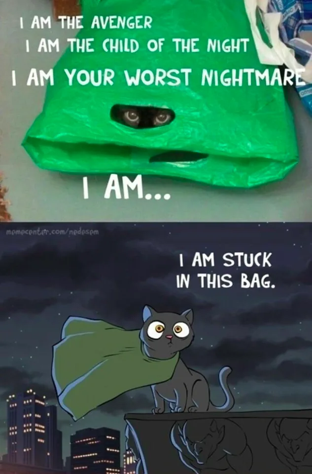 The top panel shows a real cat's eyes peering through a hole in a green plastic bag, with text declaring it as 'The Avenger'…