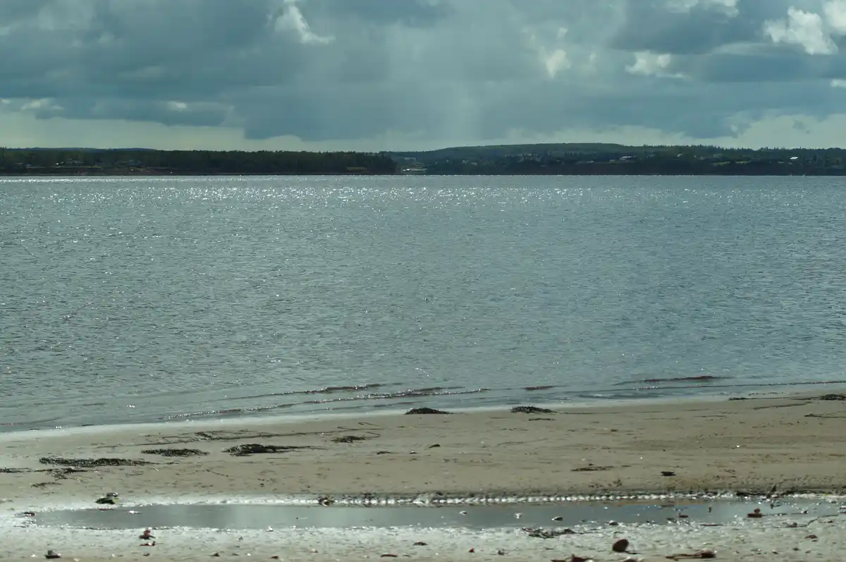 A wide shot of a calm, sun-dappled beach with gentle waves lapping at the shore under a cloudy sky, with distant trees and…