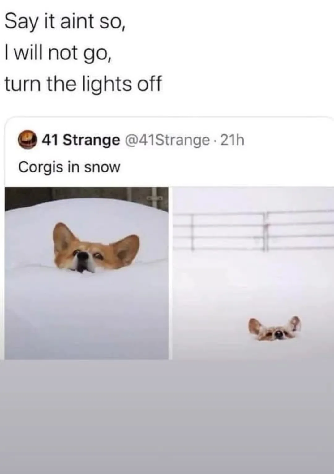 It's Time for Christmas Memes! Let's Share the Joy!