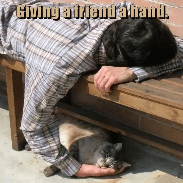 A person in plaid pajamas is sleeping with their head on a wooden bench, their hand resting on the ground beneath the bench…