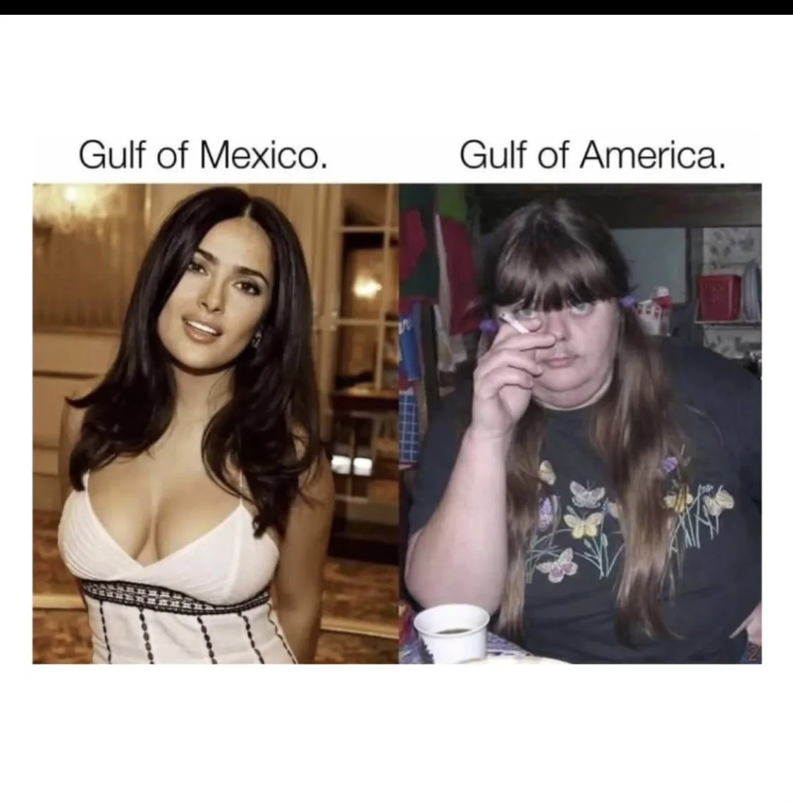 The image is split into two panels. The left panel shows a woman with long dark hair wearing a white dress, labeled 'Gulf of…