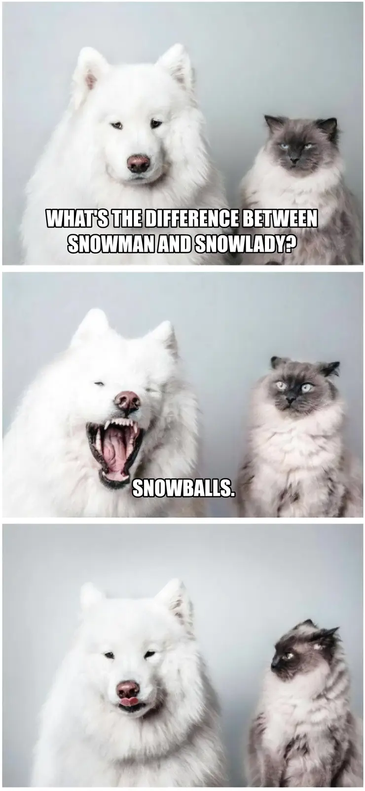 Just Some Classic Snowballs: Winter Essentials