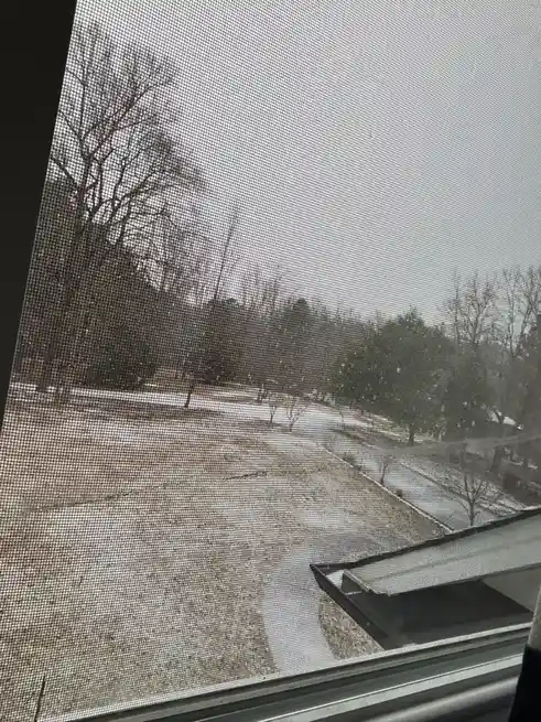A view through a window screen shows a yard with patches of snow and bare trees under an overcast sky. The overlaid text…