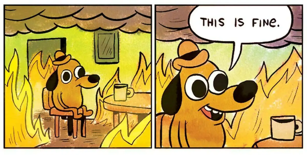 A two-panel comic strip featuring a cartoon dog wearing a hat, sitting calmly in a room engulfed in flames while holding a…