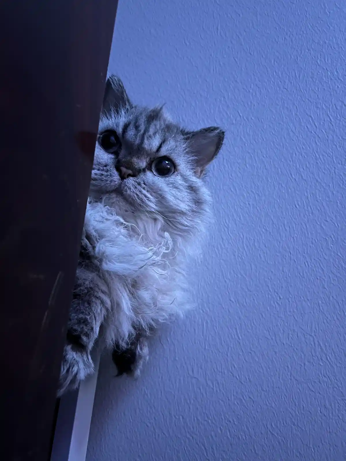 I've cast a spell on you!
