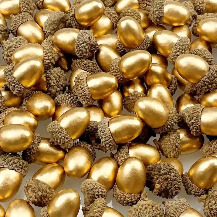 A close-up image shows a pile of acorns with their caps intact, all coated in a shiny, reflective gold paint. The acorns are…