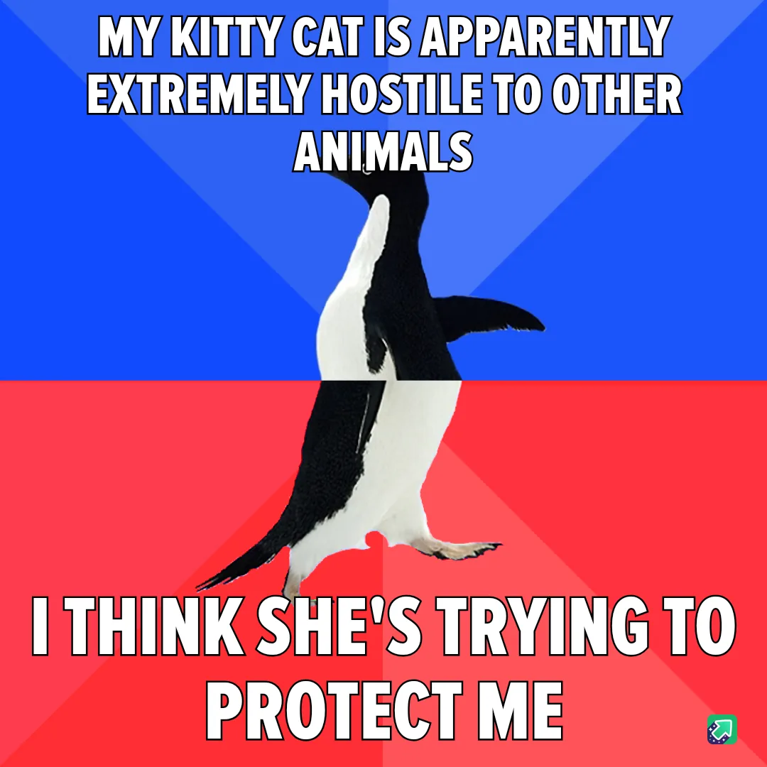 A penguin stands vertically against a blue and red background, with white text overlaid in two sections. The top text reads…