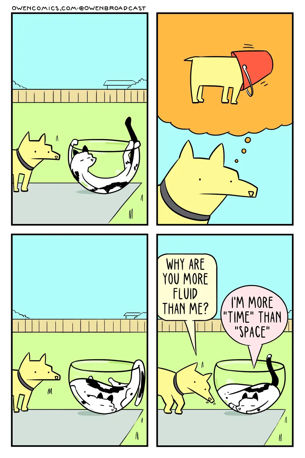 Meet the Pointy Dog: Featuring Adorable Cats!