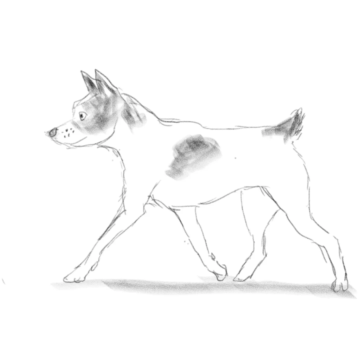 A pencil sketch of a dog walking in profile, with a large dark spot on its side and a slightly tilted head. The overlaid…