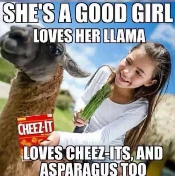 A young girl with long brown hair smiles while holding a bunch of asparagus, standing next to a llama that is holding a red…