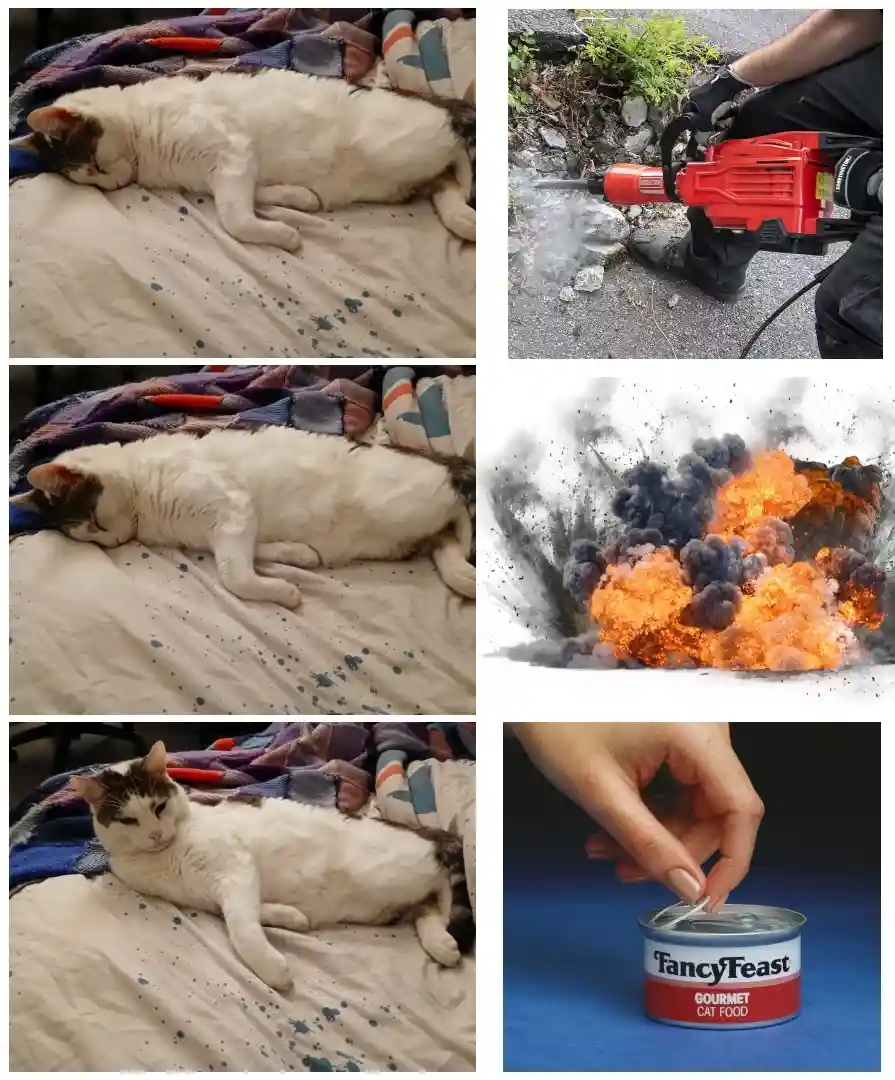 A collage of six images: three show a white and brown cat sleeping on a bed with paint splatters, then waking up with a…