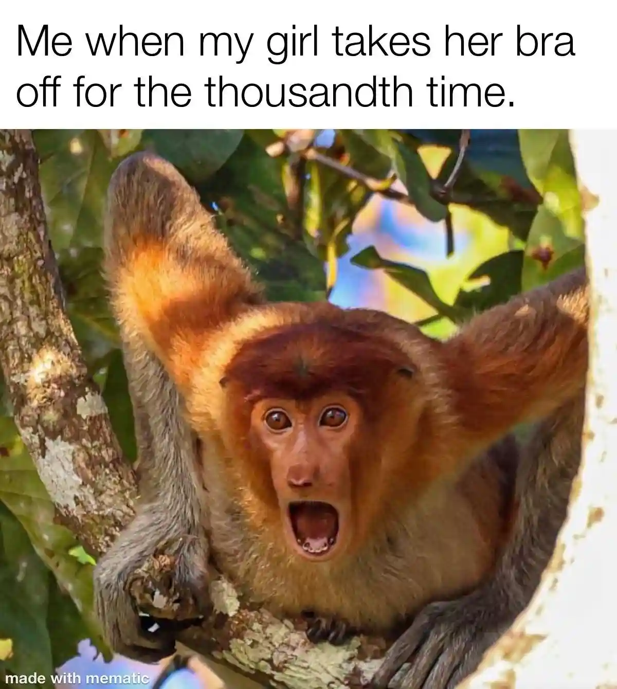 This never gets old, does it?