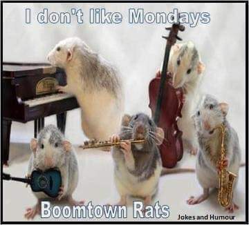 The Struggles of Monday Mornings