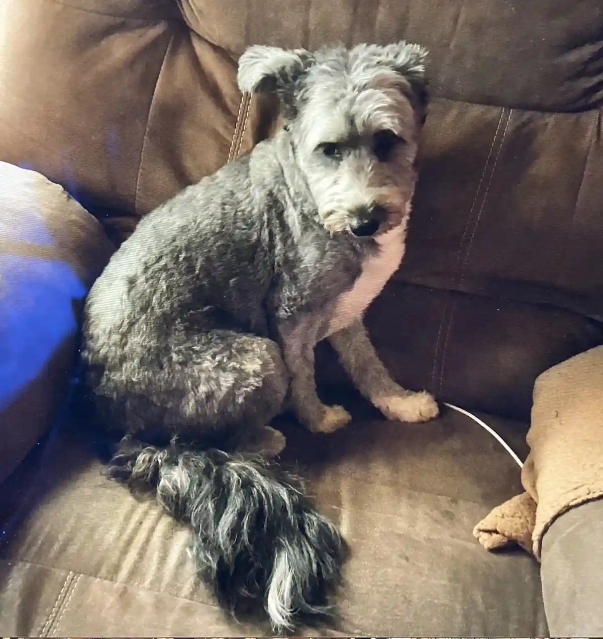 Check Out This Stunning Tail!