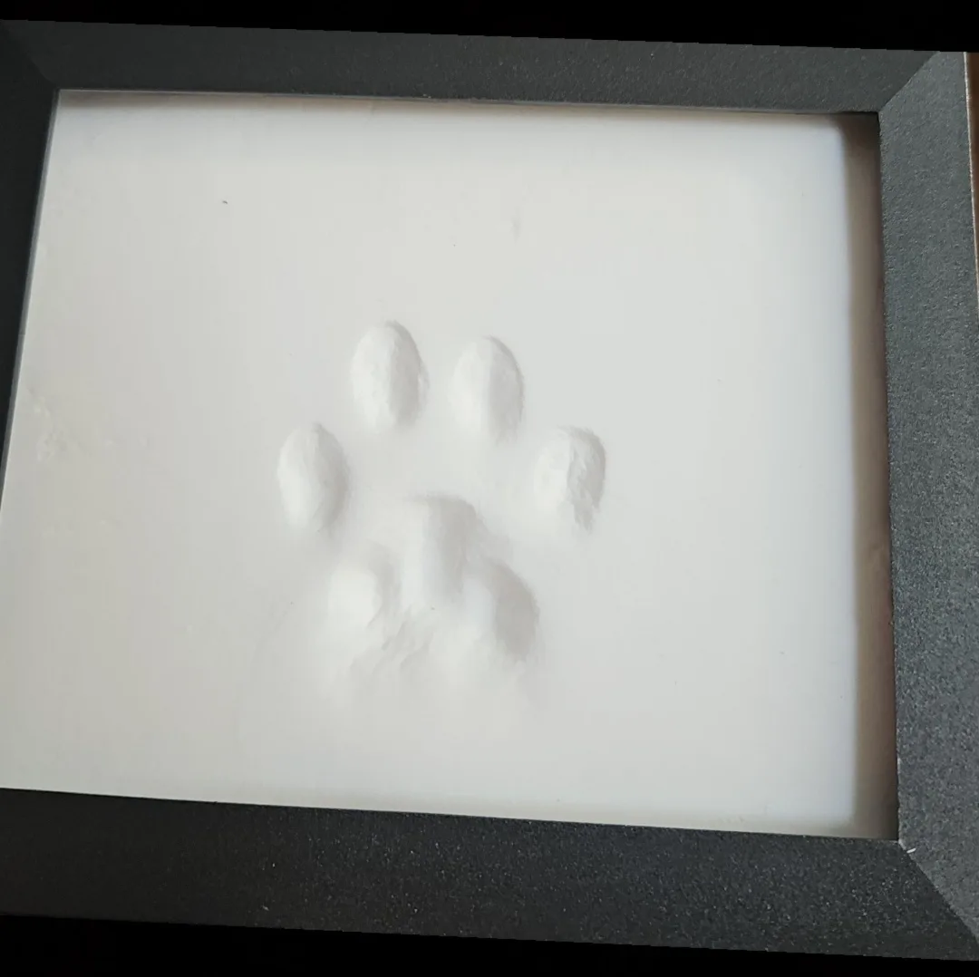 A framed, white, textured surface displays a clear paw print impression, likely made in snow or plaster, with four distinct…
