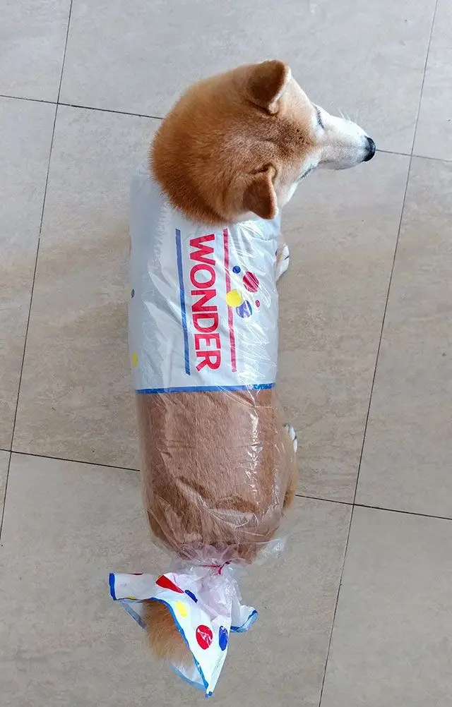 Are you a fan of bread?