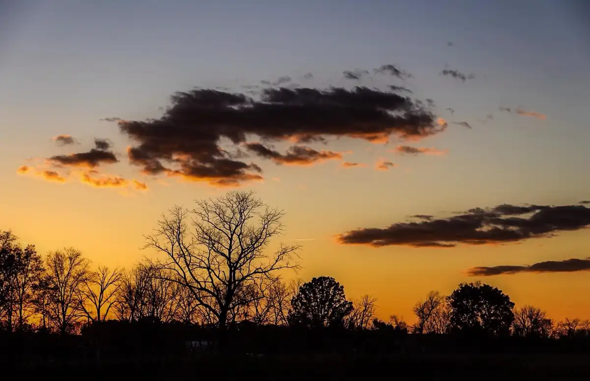 A serene sunset photo shows silhouetted trees against a sky transitioning from orange near the horizon to blue above, with…