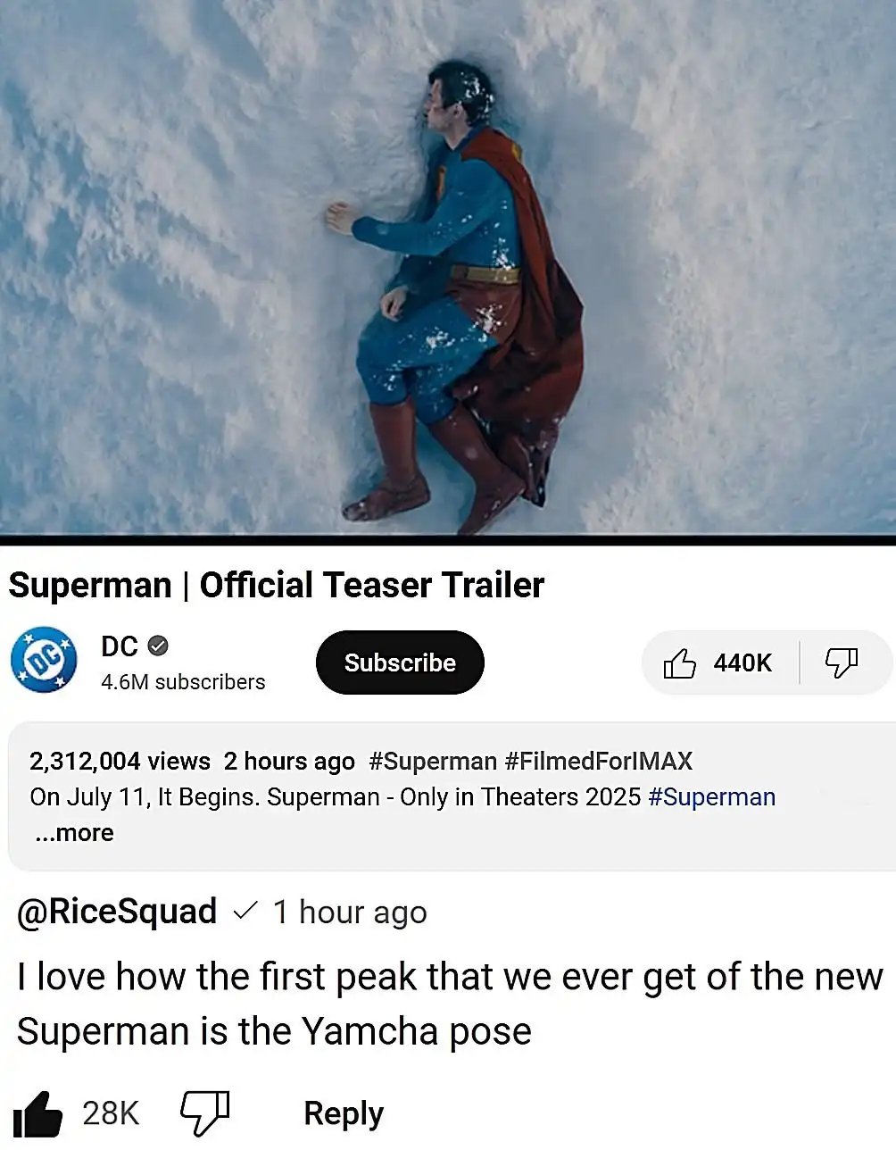 Is it a Bird? Is it a Plane? Nope, It's Something Else!