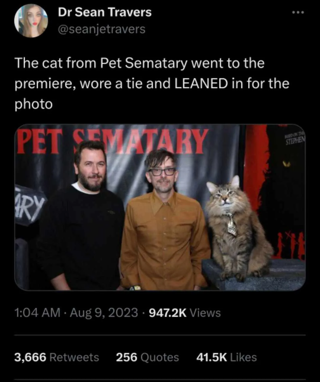 A fluffy tabby cat wearing a small silver tie sits upright on a stone-like surface next to two men at a 'Pet Sematary' movie…