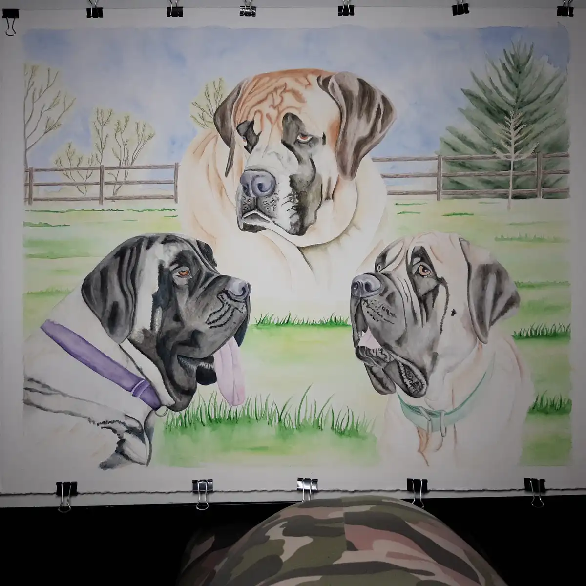 A watercolor painting of three large, wrinkly dogs—likely mastiffs—posed in a grassy field with a wooden fence and trees in…