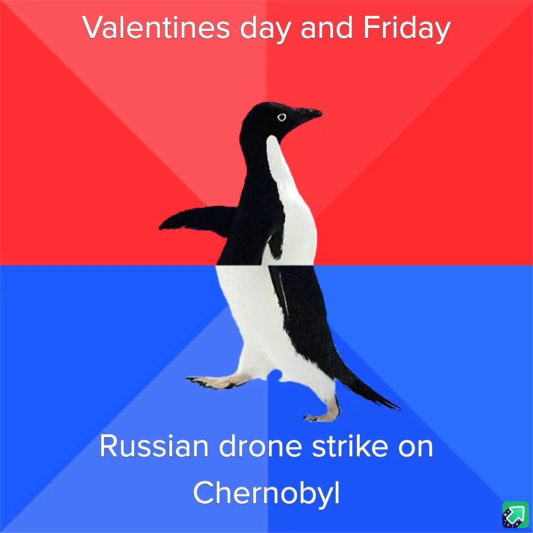 A penguin stands centered against a red and blue background split diagonally. White text at the top reads 'Valentines day…