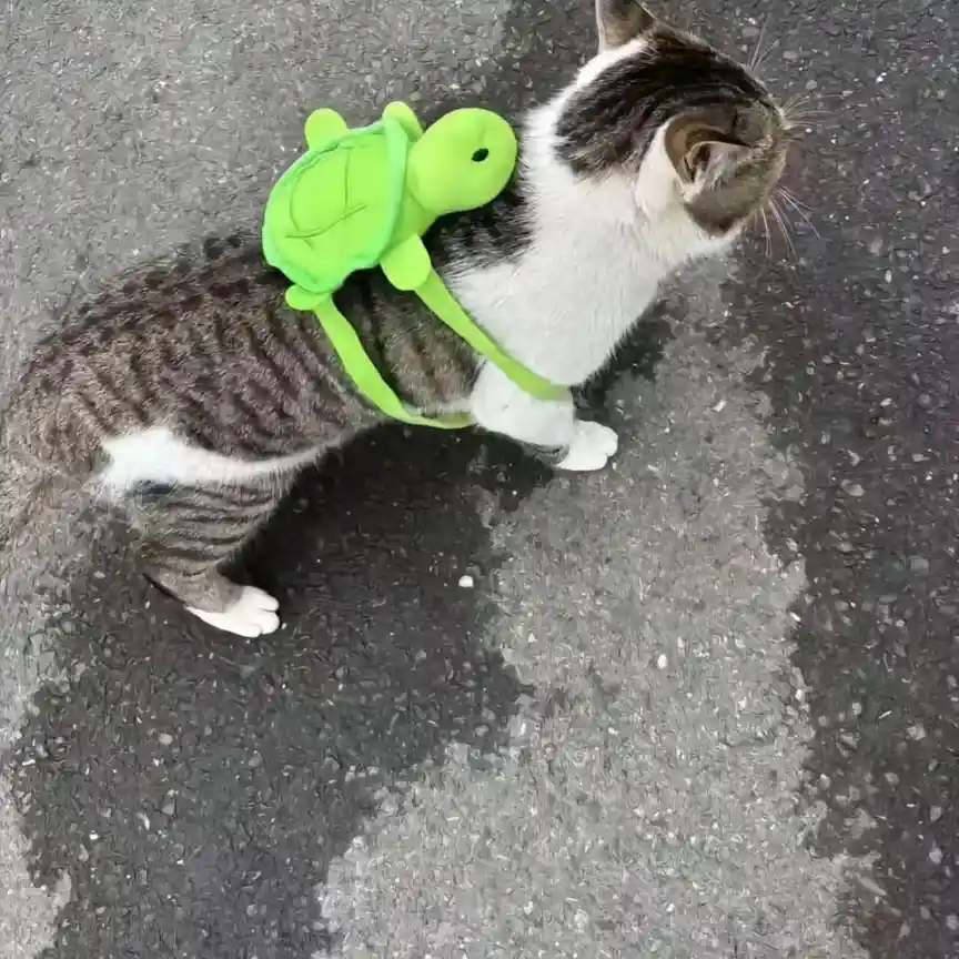 Neeeerrd alert!