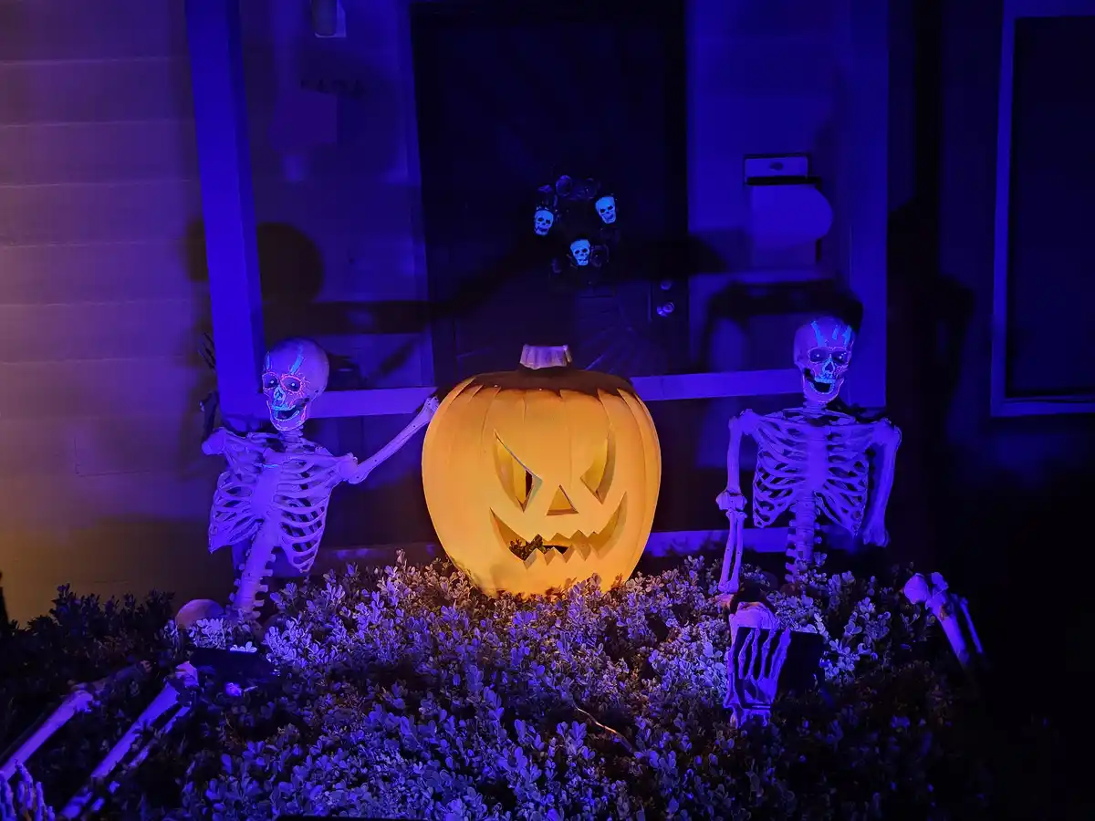 Wishing You a Happy Halloween!