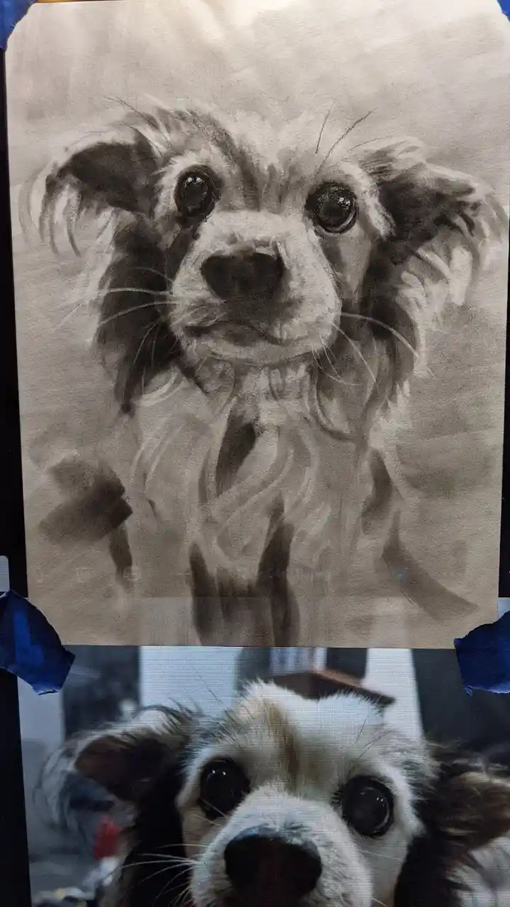 The image displays a split view: the top half shows a detailed pencil sketch of a fluffy dog with large, expressive eyes…