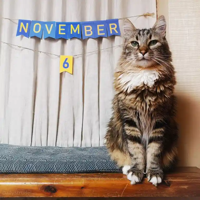 Mark your calendars for November 6